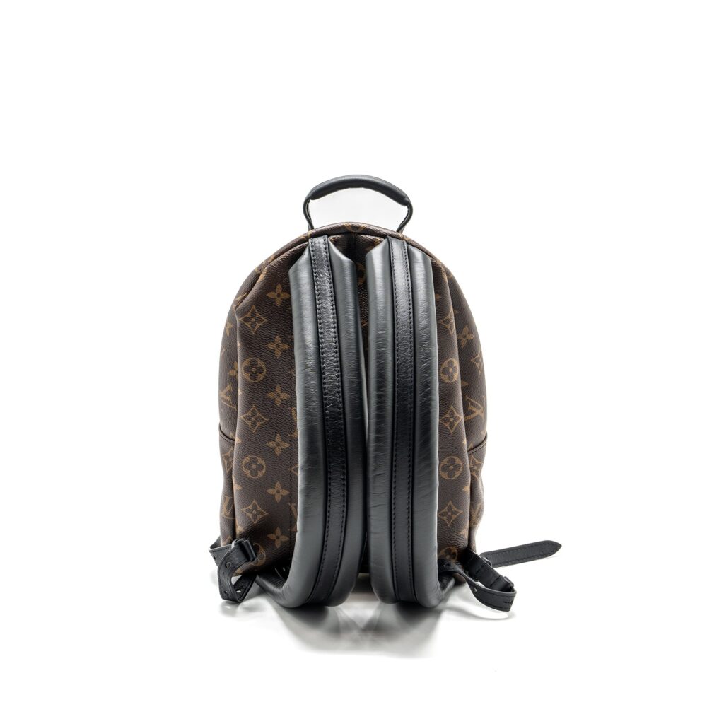 AAA Replica Louis Vuitton LV PALM SPRING PM BACKPACK MONOGRAM CANVAS GHW
