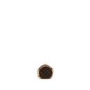 AAA Replica Louis Vuitton LV BOITE CHAPEAU MINI CHAIN BAG MONOGRAM CANVAS GHW
