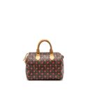 AAA Replica Louis Vuitton LV SPEEDY 25 CHERRY BLOSSOM MONOGRAM CANVAS GHW