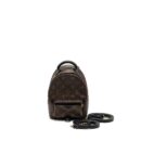 AAA Replica Louis Vuitton LV MINI PALM SPRING BACKPACK MONOGRAM CANVAS GHW