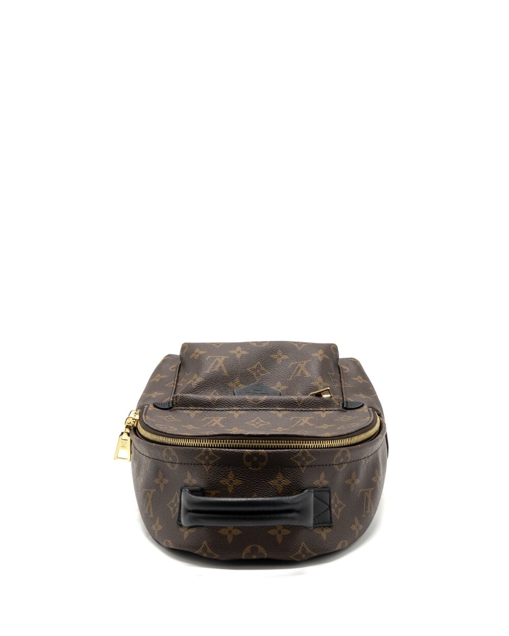AAA Replica Louis Vuitton LV PALM SPRING BACKPACK PM MONOGRAM CANVAS GHW