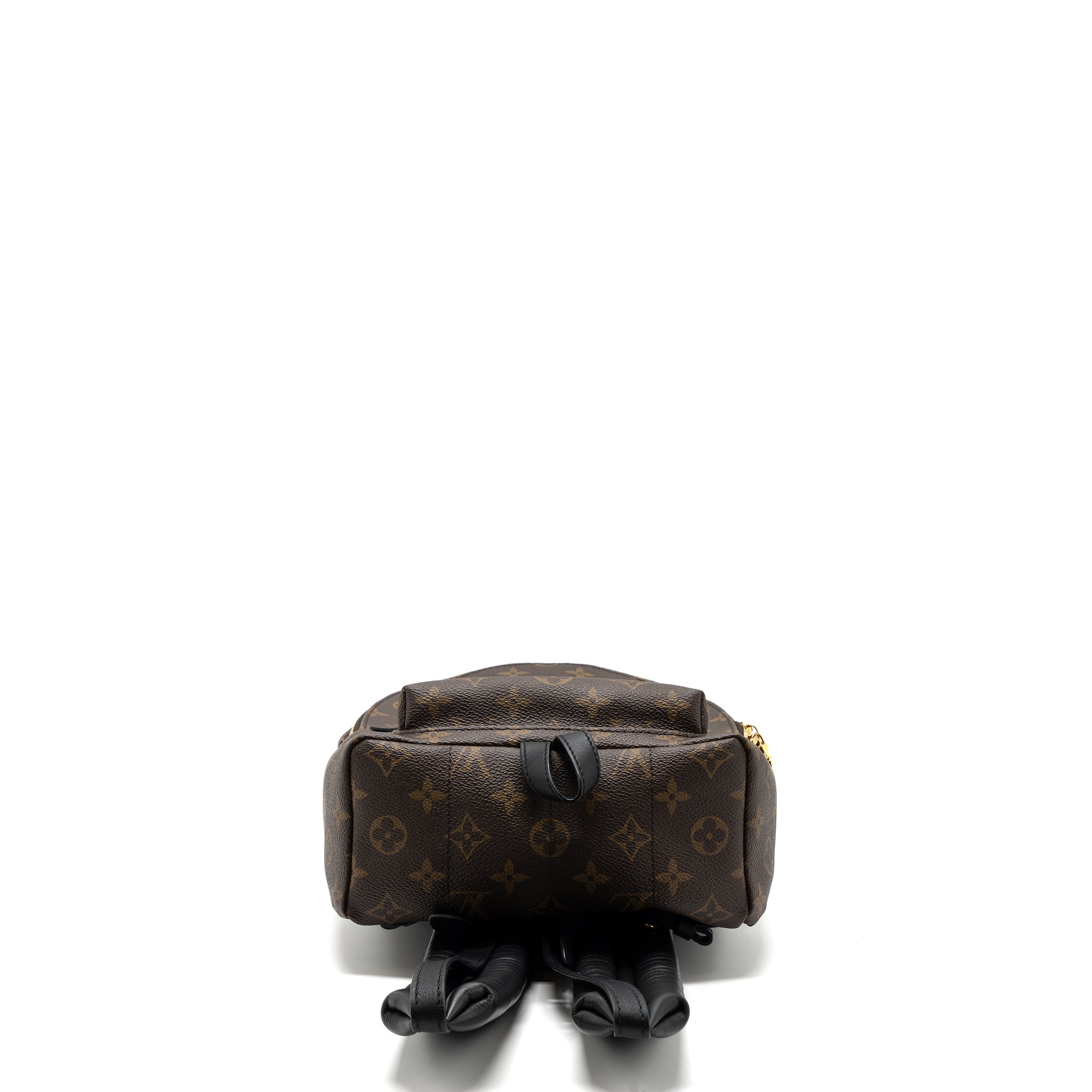AAA Replica Louis Vuitton LV PALM SPRING BACKPACK PM MONOGRAM CANVAS GHW