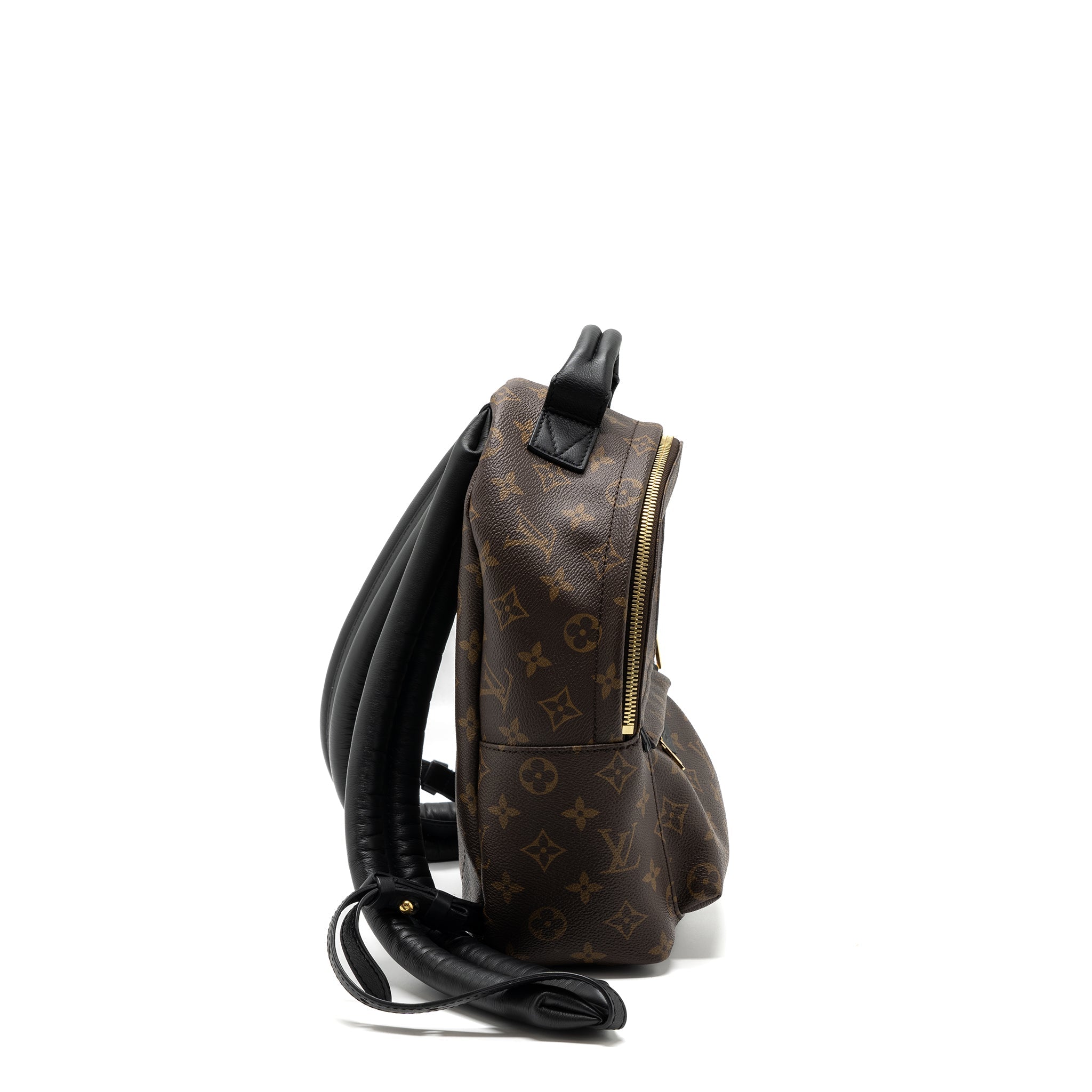 AAA Replica Louis Vuitton LV PALM SPRING BACKPACK PM MONOGRAM CANVAS GHW