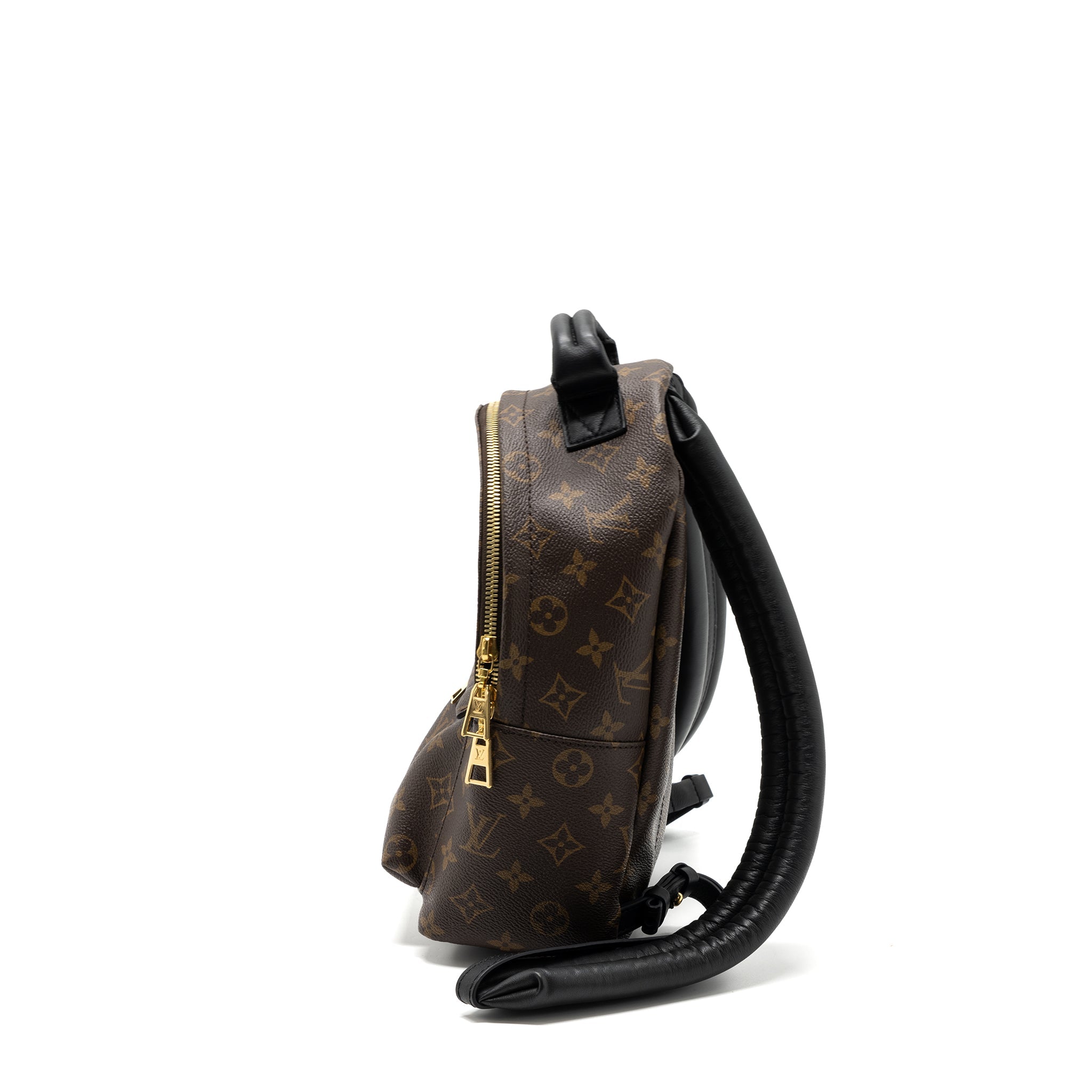 AAA Replica Louis Vuitton LV PALM SPRING BACKPACK PM MONOGRAM CANVAS GHW