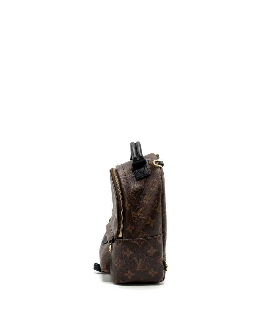AAA Replica Louis Vuitton LV MINI PALM SPRING BACKPACK MONOGRAM CANVAS GHW