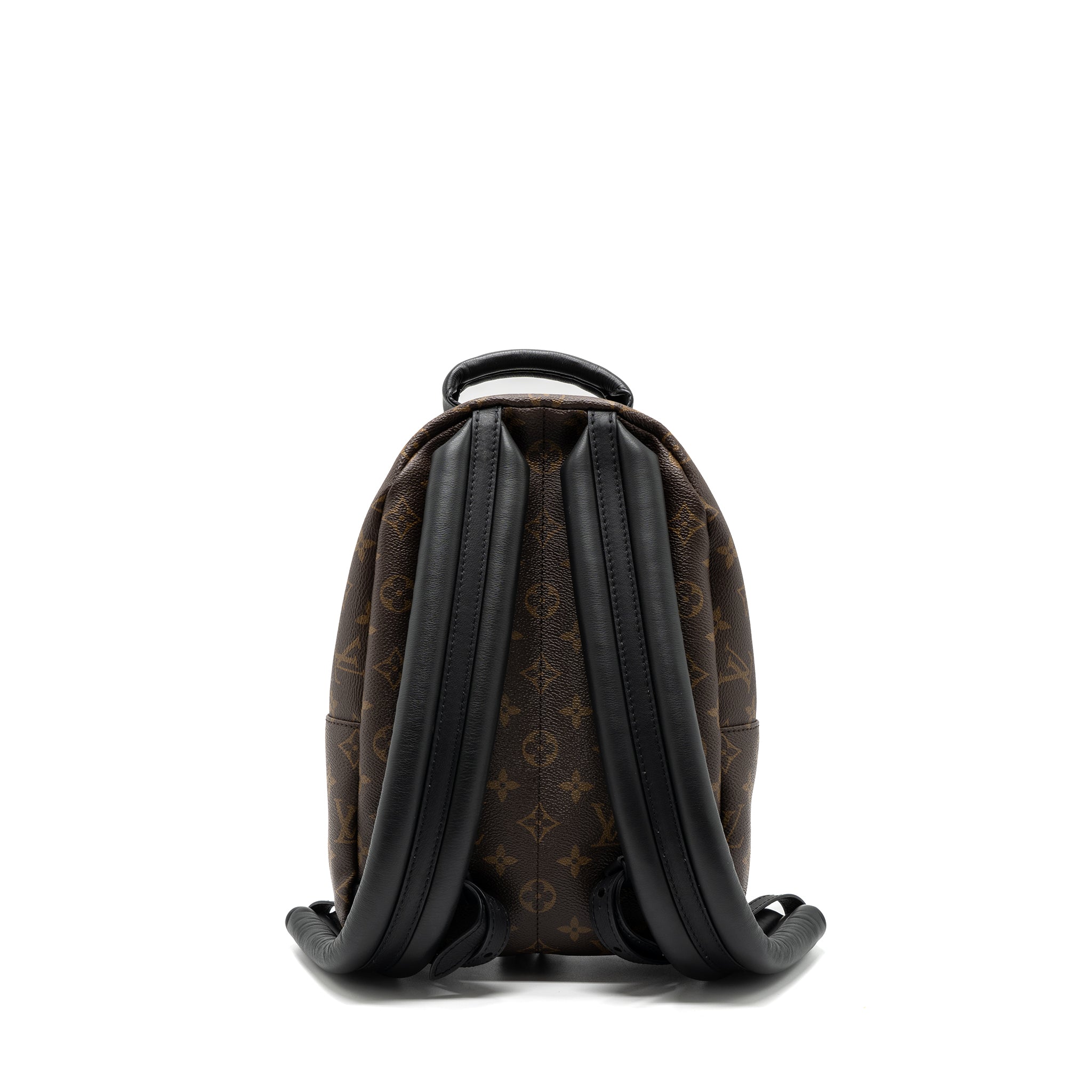 AAA Replica Louis Vuitton LV PALM SPRING BACKPACK PM MONOGRAM CANVAS GHW