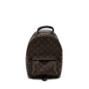 AAA Replica Louis Vuitton LV PALM SPRING BACKPACK PM MONOGRAM CANVAS GHW