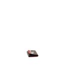AAA Replica Louis Vuitton LV WALLET VICTORINE ILLUSTRE XMAS POLAR BEAR MONOGRAM CANVAS GHW