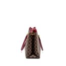 AAA Replica Louis Vuitton LV RIVERSIDE TOTE BAG DAMIER EBENE CANVAS RED/BROWN GHW
