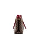 AAA Replica Louis Vuitton LV RIVERSIDE TOTE BAG DAMIER EBENE CANVAS RED/BROWN GHW