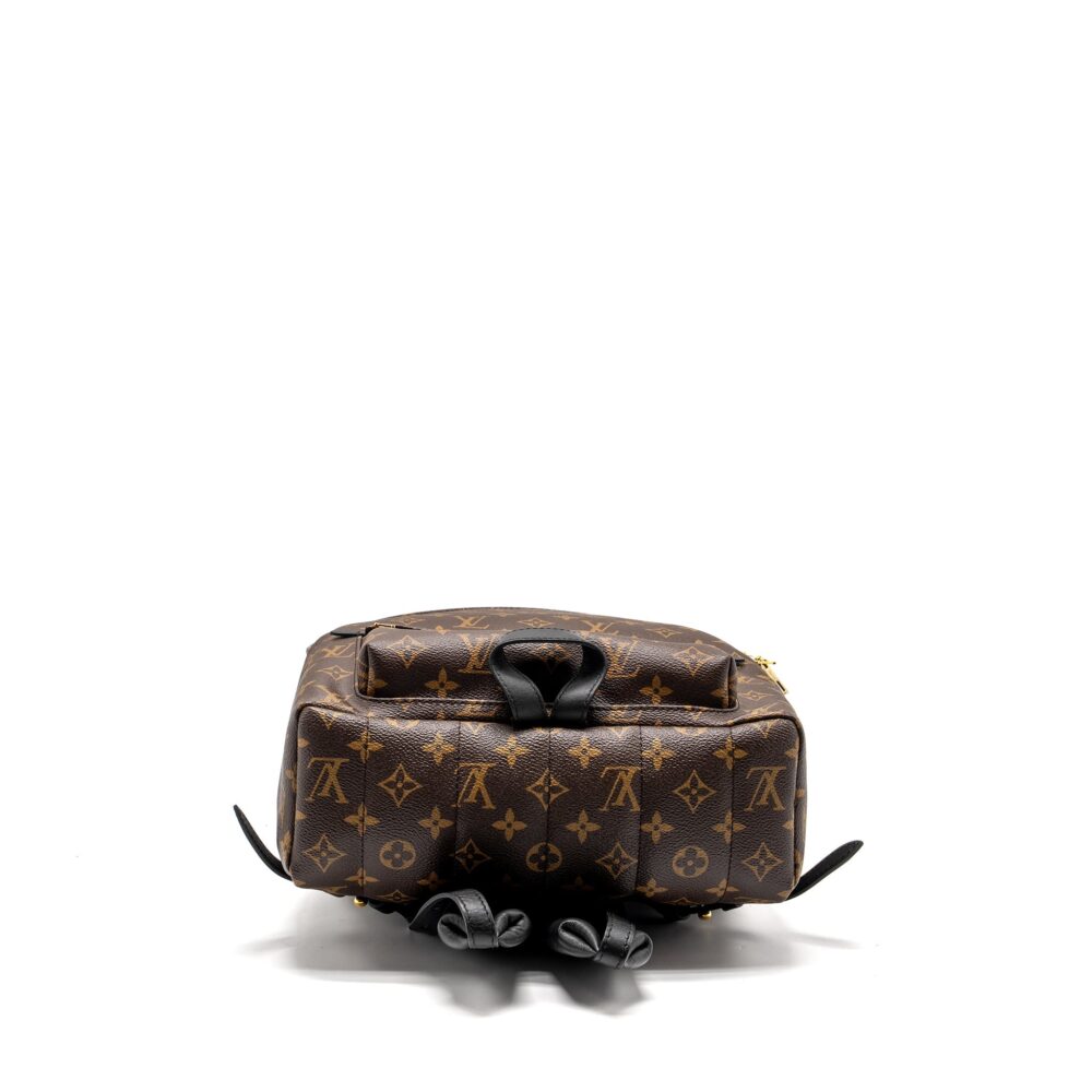 AAA Replica Louis Vuitton LV PALM SPRING BACKPACK MM MONOGRAM CANVAS
