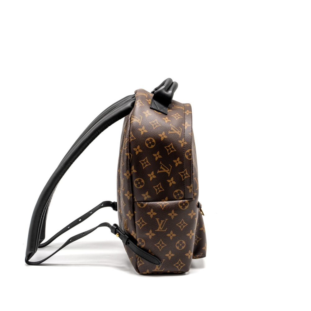AAA Replica Louis Vuitton LV PALM SPRING BACKPACK MM MONOGRAM CANVAS