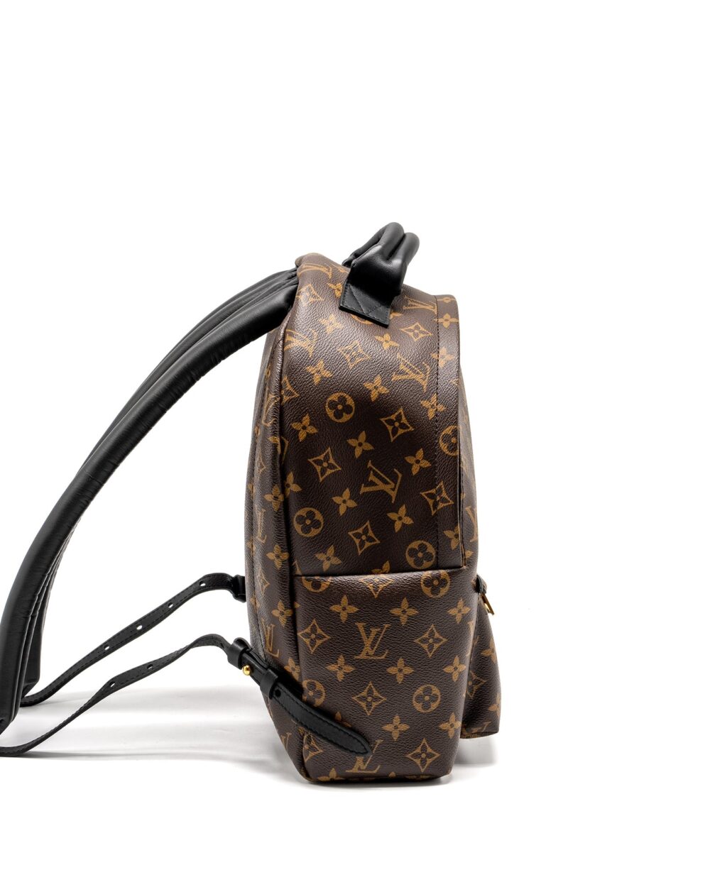 AAA Replica Louis Vuitton LV PALM SPRING BACKPACK MM MONOGRAM CANVAS