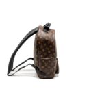 AAA Replica Louis Vuitton LV PALM SPRING BACKPACK MM MONOGRAM CANVAS