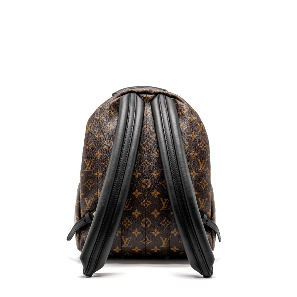 AAA Replica Louis Vuitton LV PALM SPRING BACKPACK MM MONOGRAM CANVAS