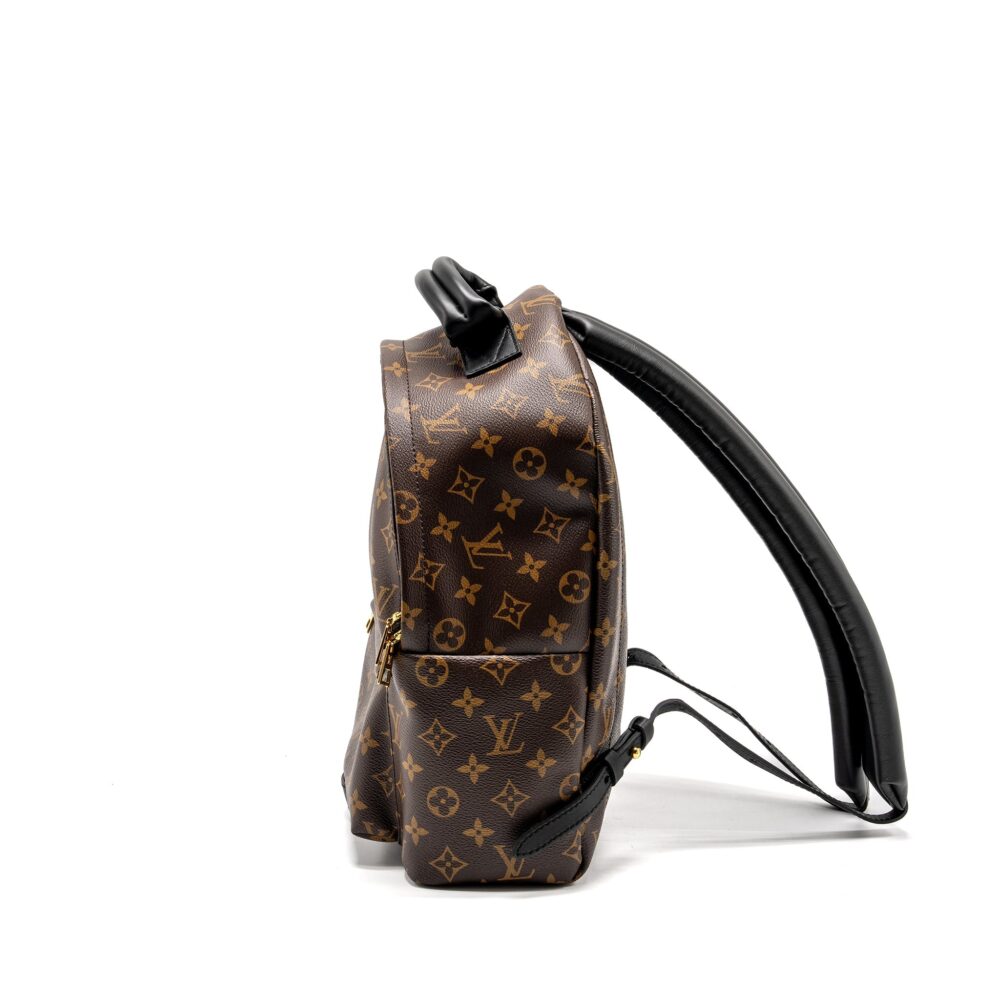 AAA Replica Louis Vuitton LV PALM SPRING BACKPACK MM MONOGRAM CANVAS