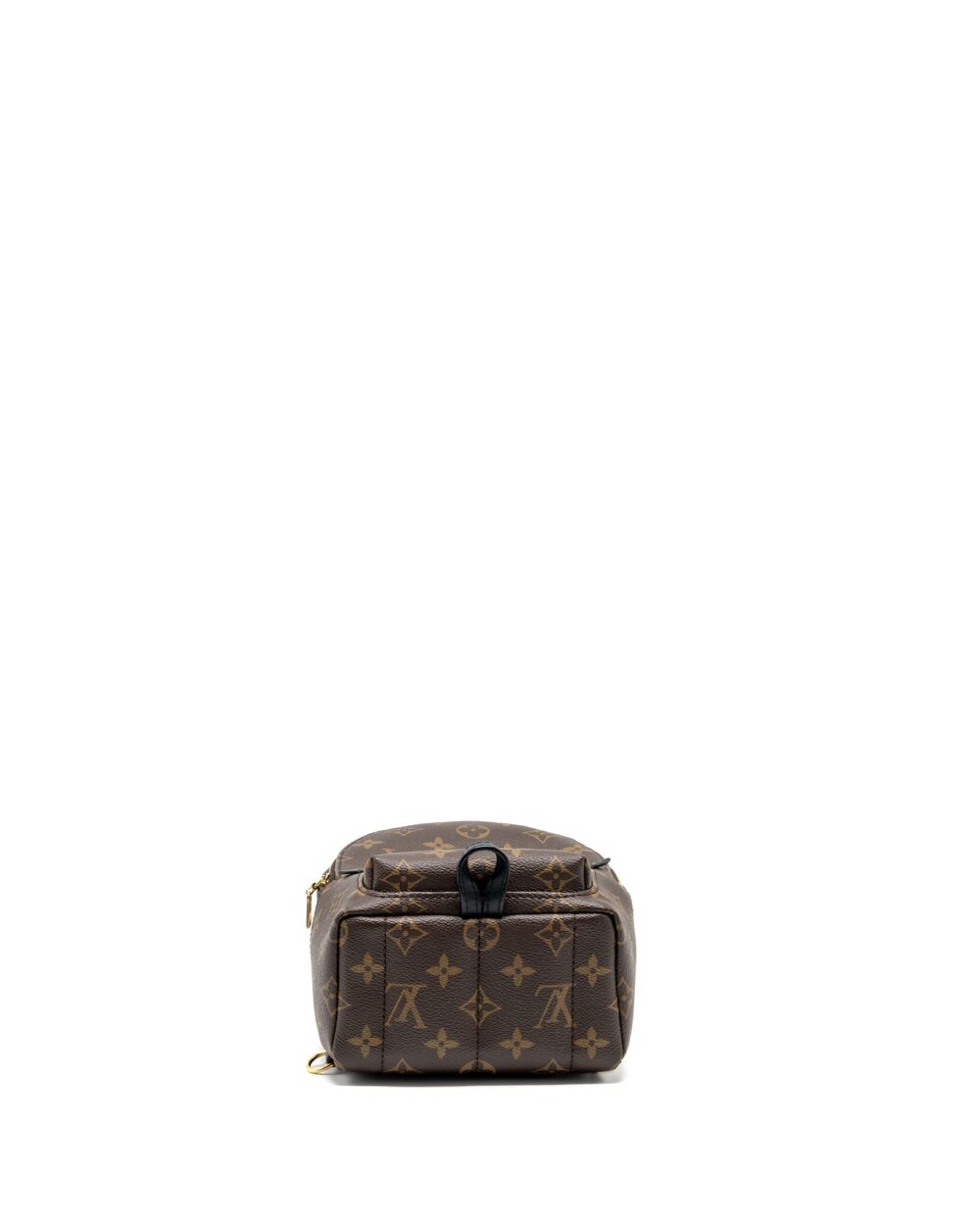 AAA Replica Louis Vuitton LV MINI PALM SPRING BACKPACK MONOGRAM CANVAS GHW