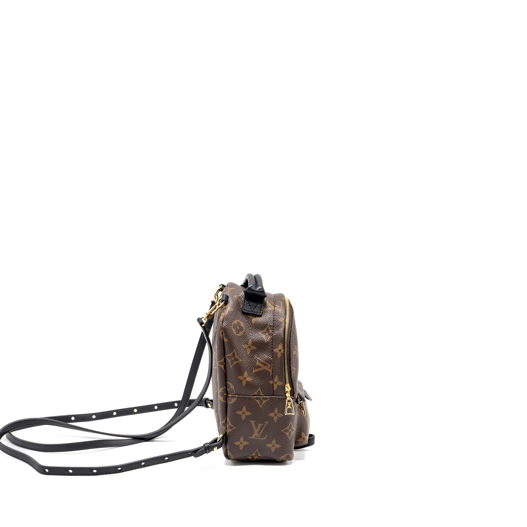 AAA Replica Louis Vuitton LV MINI PALM SPRING BACKPACK MONOGRAM CANVAS GHW