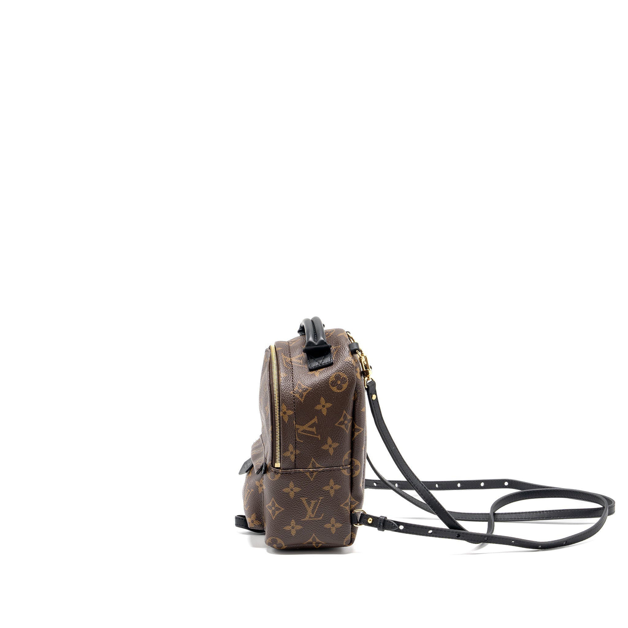 AAA Replica Louis Vuitton LV MINI PALM SPRING BACKPACK MONOGRAM CANVAS GHW