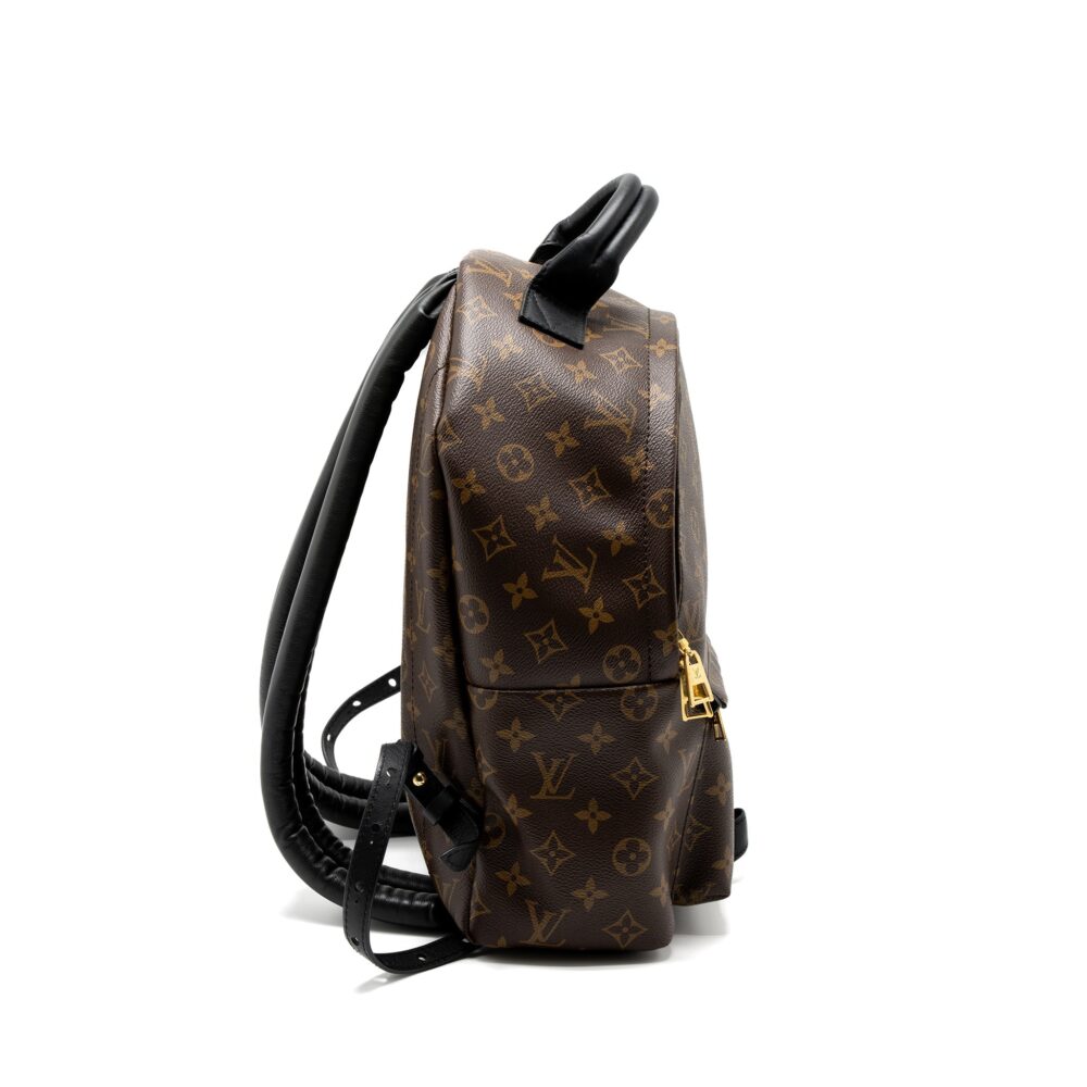 AAA Replica Louis Vuitton LV PALM SPRINGS BACKPACK MONOGRAM CANVAS GHW