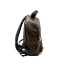 AAA Replica Louis Vuitton LV PALM SPRINGS BACKPACK MONOGRAM CANVAS GHW