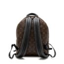 AAA Replica Louis Vuitton LV PALM SPRINGS BACKPACK MONOGRAM CANVAS GHW