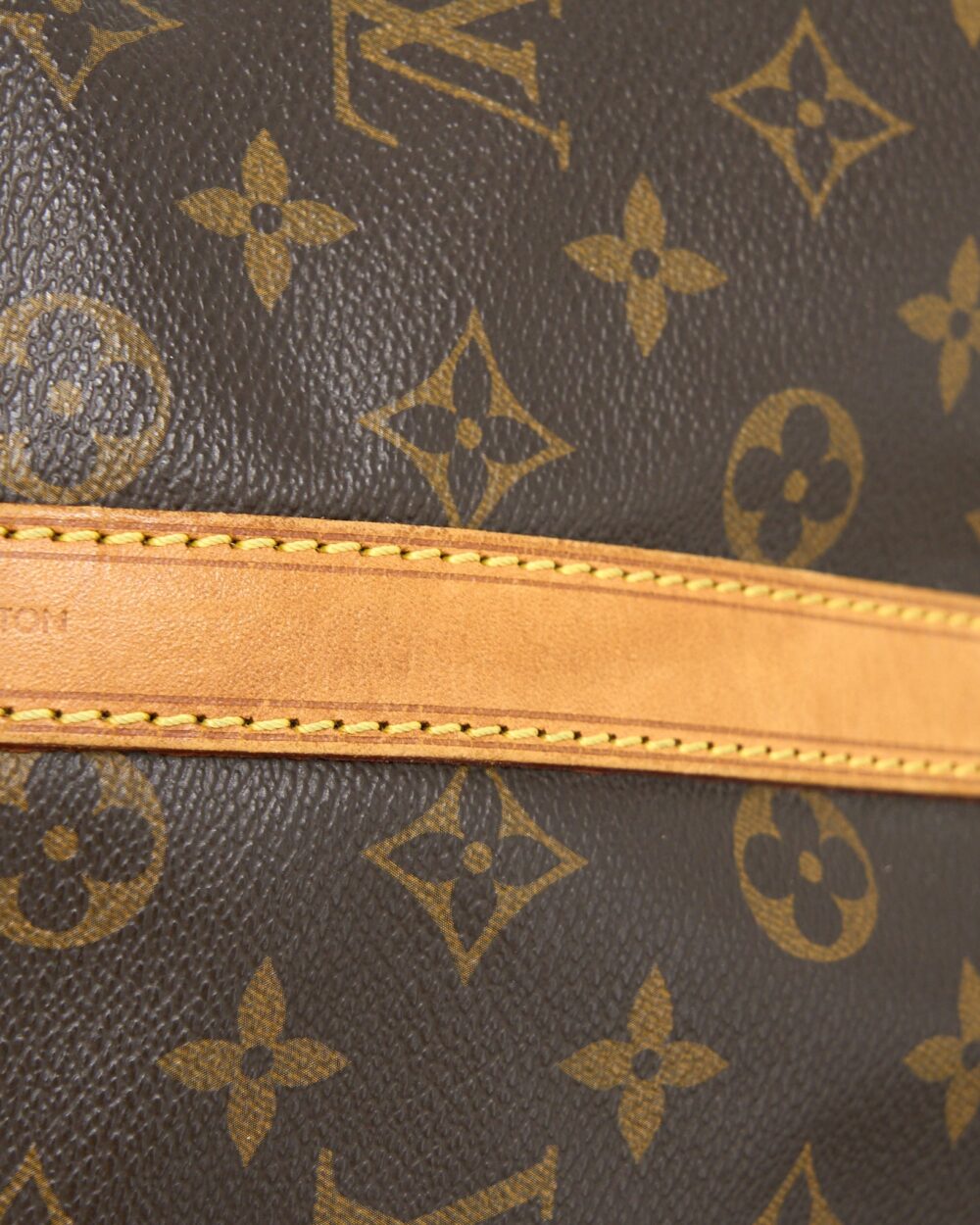 AAA Replica Louis Vuitton LV PETIT NEO BAG MONOGRAM CANVAS GHW