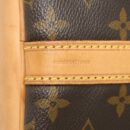AAA Replica Louis Vuitton LV PETIT NEO BAG MONOGRAM CANVAS GHW