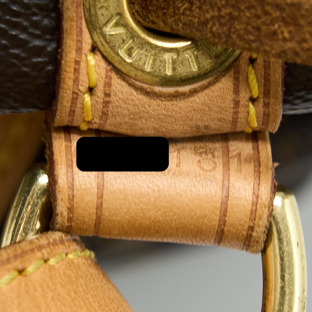 AAA Replica Louis Vuitton LV PETIT NEO BAG MONOGRAM CANVAS GHW