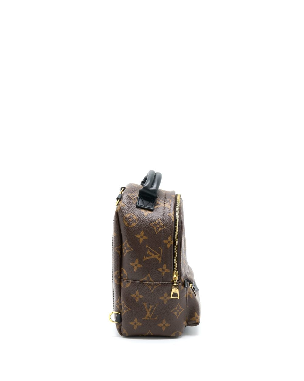 AAA Replica Louis Vuitton LV PALM SPRING MINI BACKPACK MONOGRAM CANVAS(NEW VERSION ZIPPER)