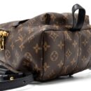 AAA Replica Louis Vuitton LV PALM SPRING PM BACKPACK MONOGRAM CANVAS GHW