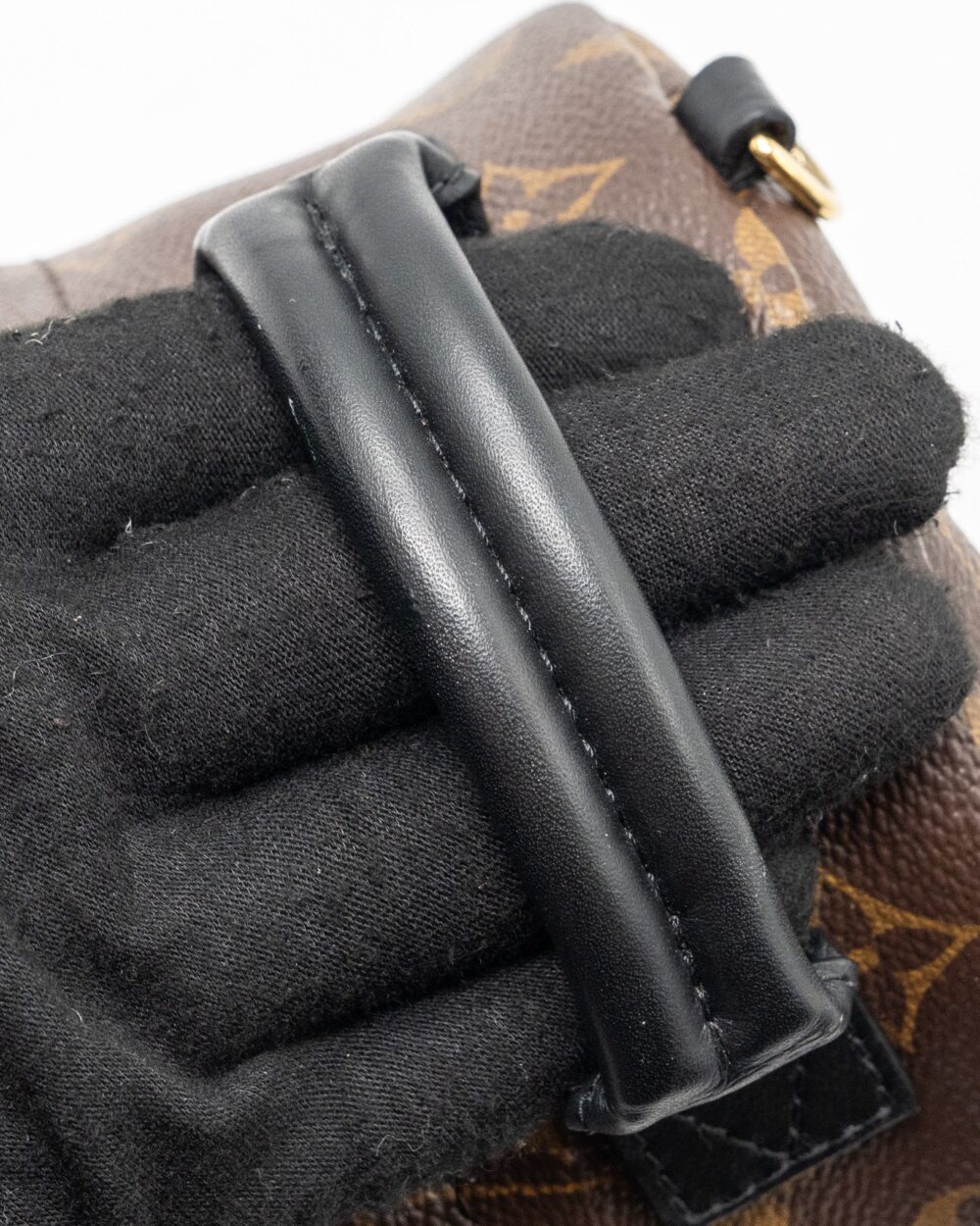 AAA Replica Louis Vuitton LV MINI PALM SPRING BACKPACK MONOGRAM CANVAS GHW