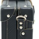 AAA Replica Louis Vuitton LV PETIT MALLE LIMITED EDITION BLACK/MULTICOLOUR SHW