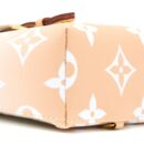 AAA Replica Louis Vuitton LV POOL BRUME MINI BACKPACK MONOGRAM COATED CANVAS GHW