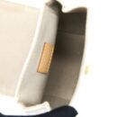AAA Replica Louis Vuitton LV POOL BRUME MINI BACKPACK MONOGRAM COATED CANVAS GHW