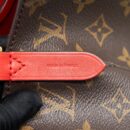 AAA Replica Louis Vuitton LV NEO NOE MONOGRAM CANVAS IN RED