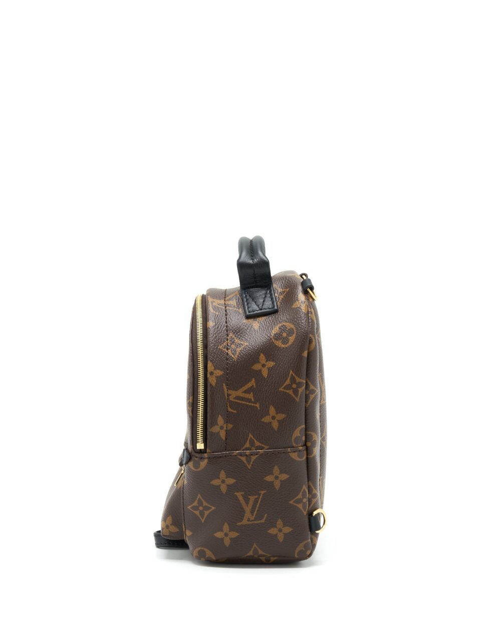 AAA Replica Louis Vuitton LV PALM SPRINGS MINI BACKPACK MONOGRAM CANVAS GHW