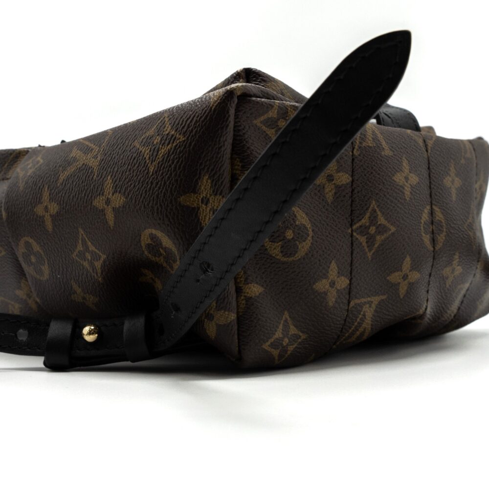 AAA Replica Louis Vuitton LV PALM SPRING BACKPACK PM MONOGRAM CANVAS GHW