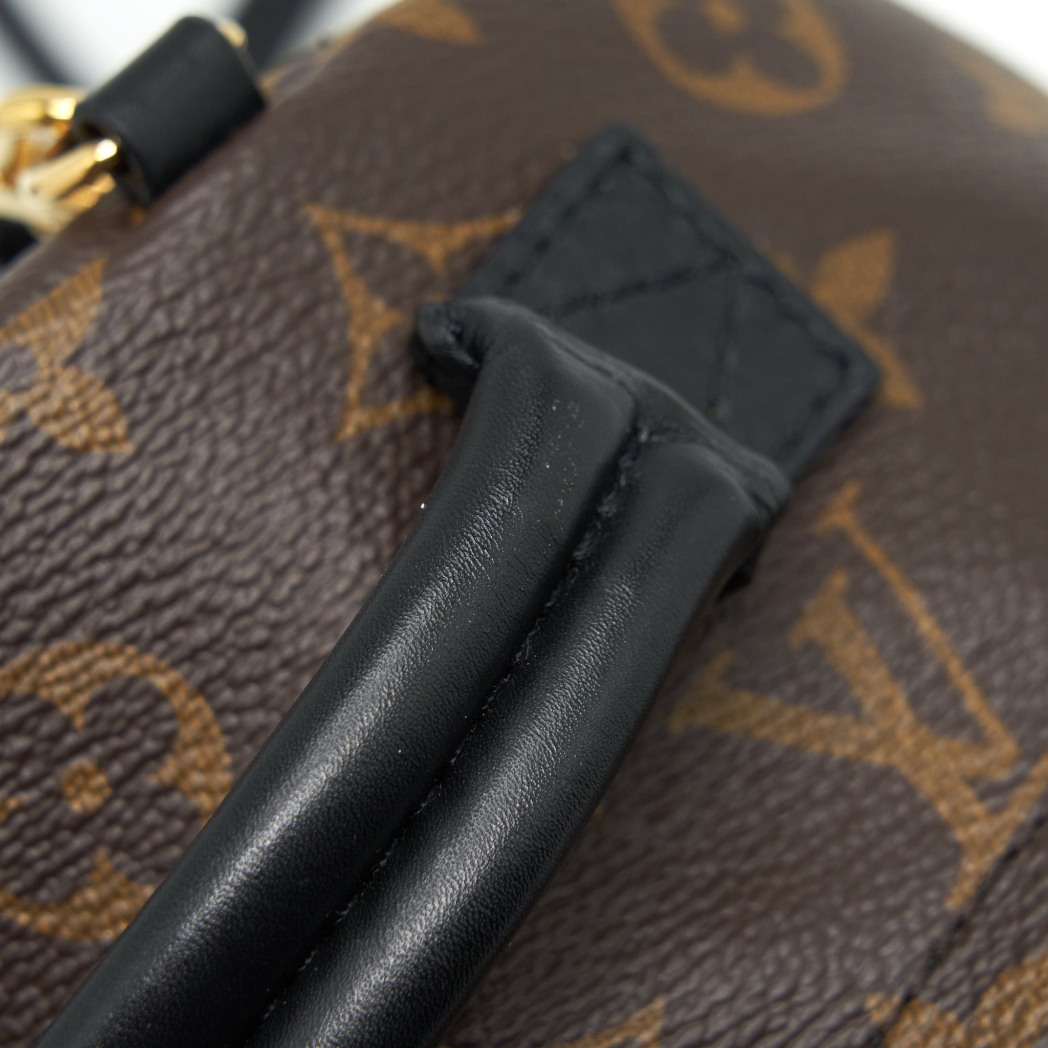 AAA Replica Louis Vuitton LV PALM SPRING MINI BACKPACK MONOGRAM CANVAS YEAR 2018