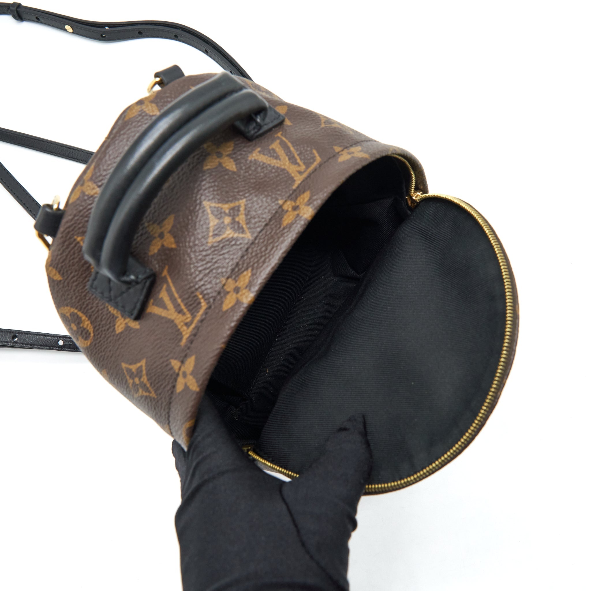 AAA Replica Louis Vuitton LV PALM SPRING MINI BACKPACK MONOGRAM CANVAS YEAR 2018