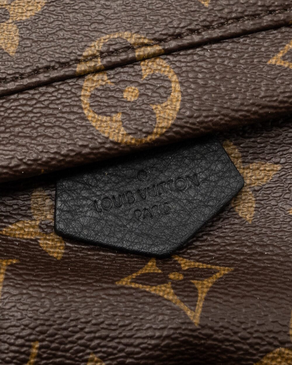 AAA Replica Louis Vuitton LV MINI PALM SPRING BACKPACK MONOGRAM CANVAS GHW