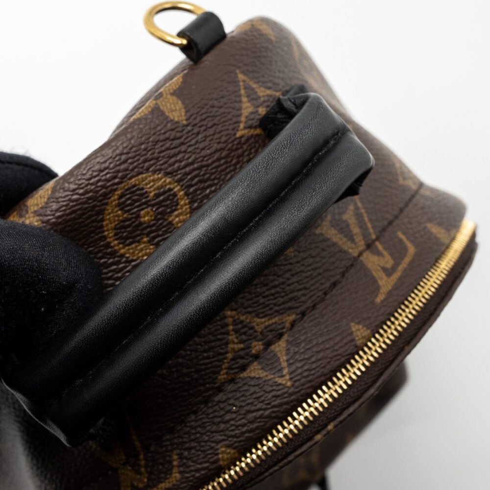 AAA Replica Louis Vuitton LV MINI PALM SPRING BACKPACK MONOGRAM CANVAS GHW