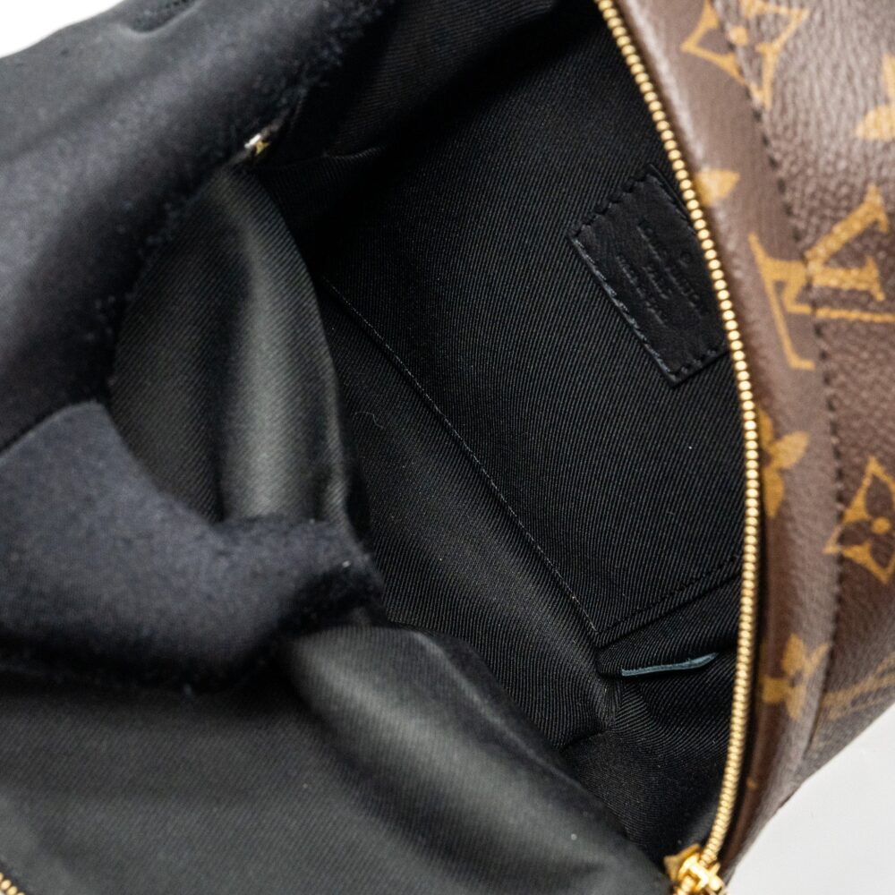 AAA Replica Louis Vuitton LV MINI PALM SPRING BACKPACK MONOGRAM CANVAS GHW