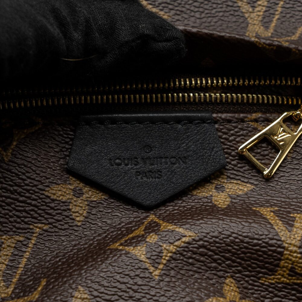 AAA Replica Louis Vuitton LV PALM SPRING BACKPACK PM MONOGRAM CANVAS GHW