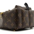 AAA Replica Louis Vuitton LV MINI PALM SPRING BACKPACK MONOGRAM CANVAS GHW