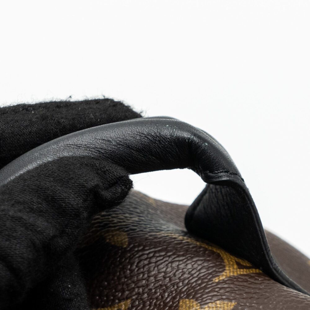 AAA Replica Louis Vuitton LV PALM SPRING BACKPACK PM MONOGRAM CANVAS GHW