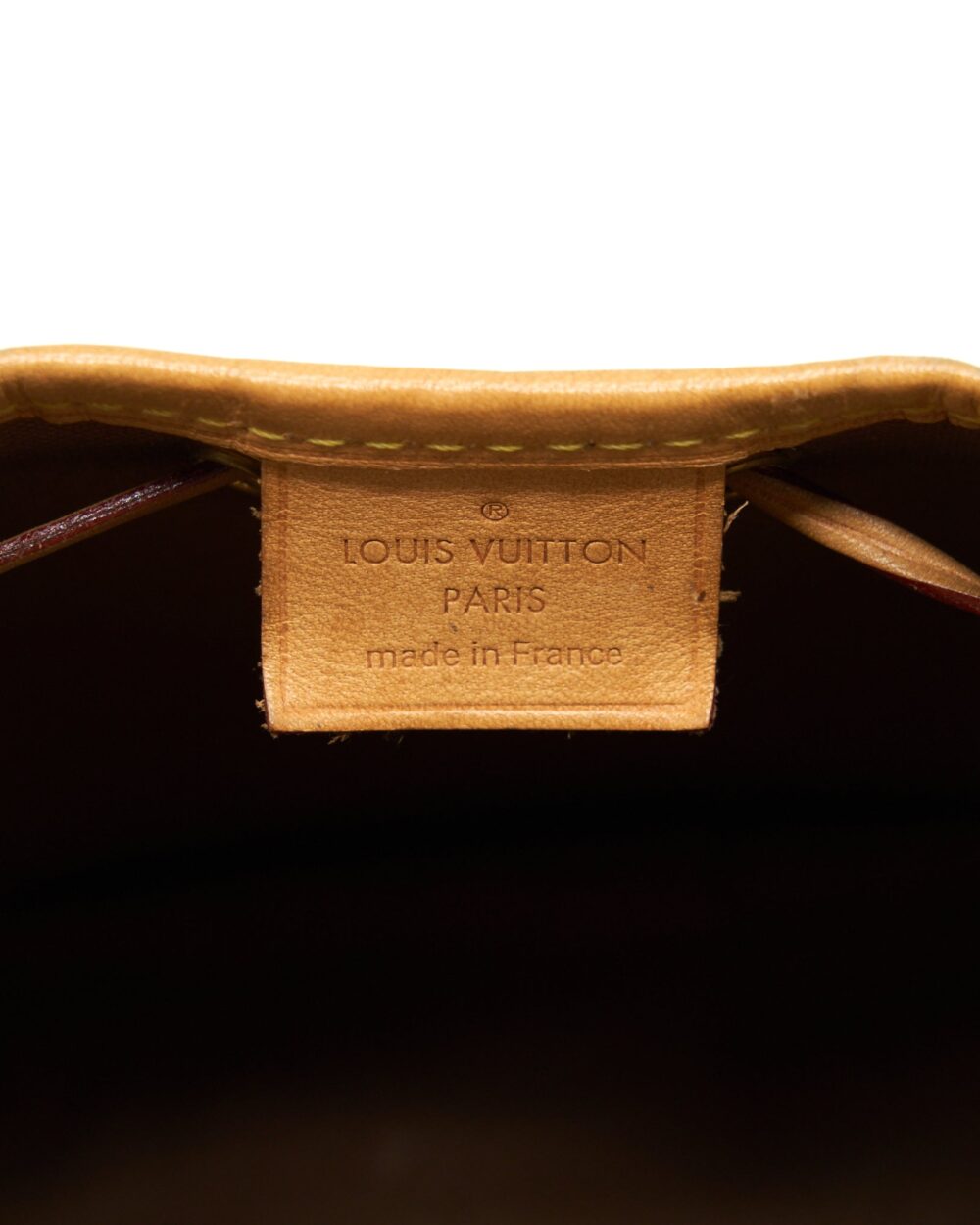 AAA Replica Louis Vuitton LV NANO NOE MONOGRAM CANVAS GHW