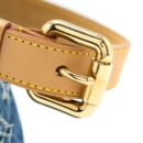 AAA Replica Louis Vuitton LV BUGGY BAG MONOGRAM DENIM GHW