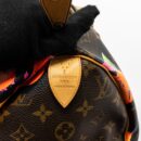 AAA Replica Louis Vuitton LV SPEEDY 30 LIMITED FLOWER PRINT MONOGRAM CANVAS GHW