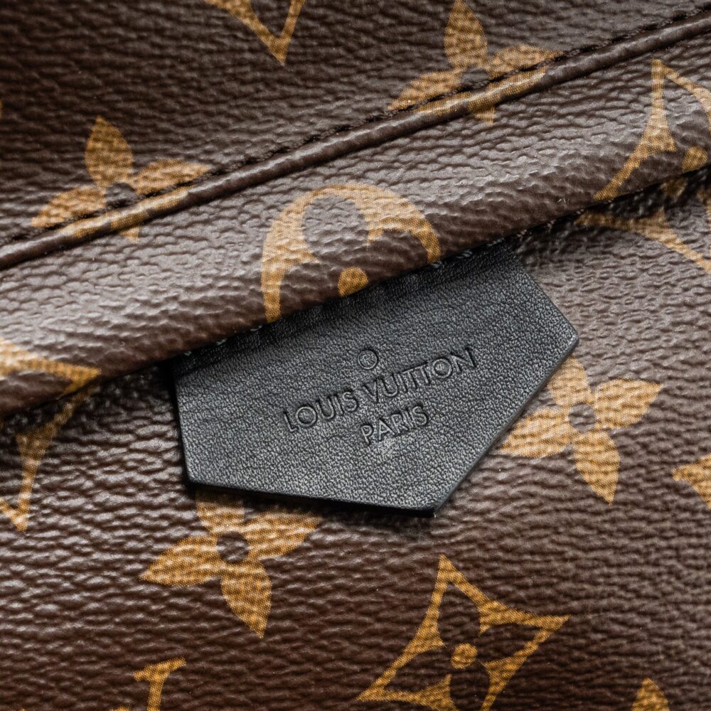 AAA Replica Louis Vuitton LV PALM SPRING PM BACKPACK MONOGRAM CANVAS GHW
